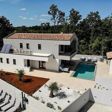 Villa Istra Relax Diamond Rebici Exteriér fotografie